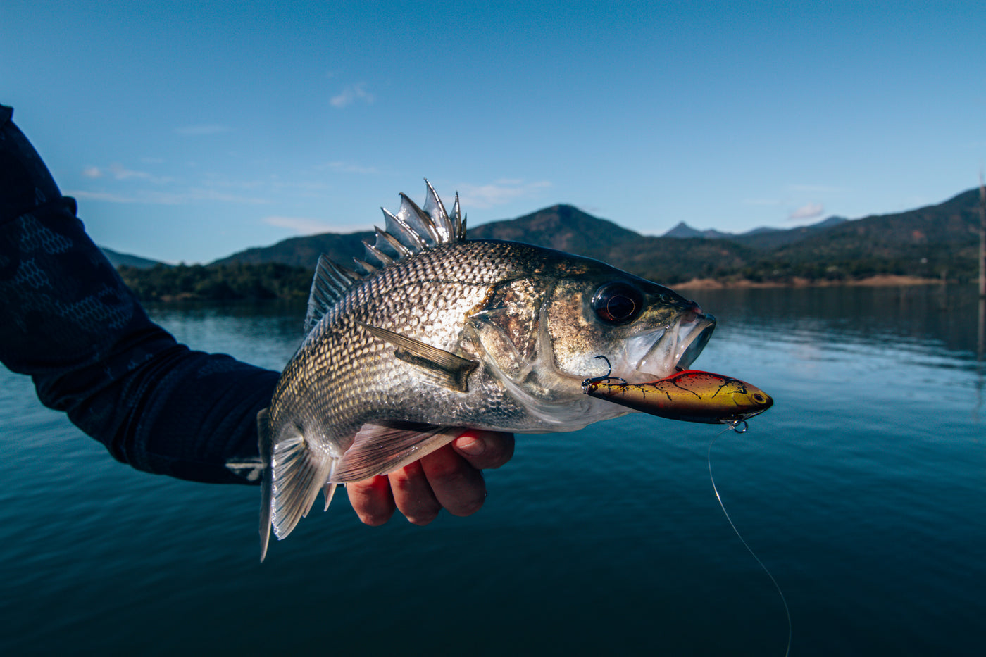 Australian Bass Lures